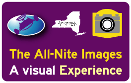 The All Nite Images